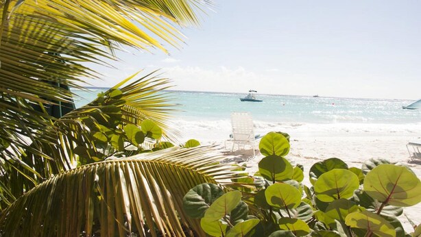 Una playa con palmeras, una silla y un barco a lo lejos.