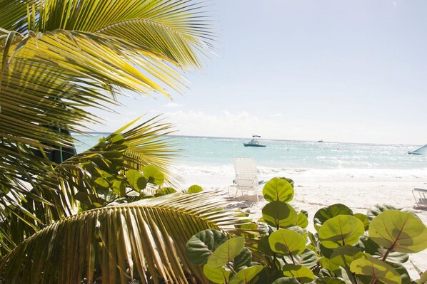 A beach with palm trees, a chair, and a boat in the distance. - Vedanta Resort (Worthing)