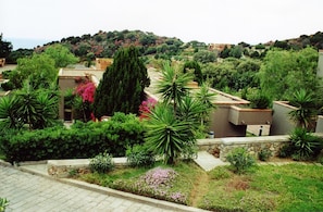 Zona residencial com caminho pavimentado, vegetação exuberante e uma encosta ao fundo.