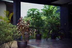 Zona exterior coberta amb plantes en testos, una bicicleta i una boscà de pedra.