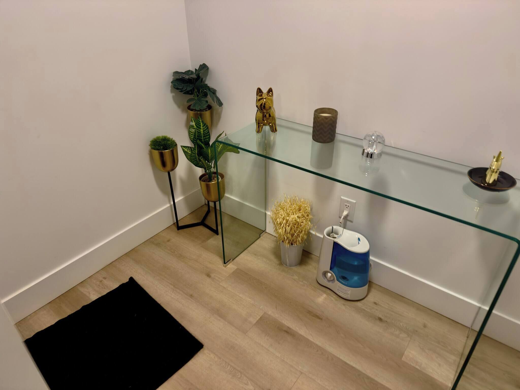 A modern bathroom with a glass shower enclosure, a toilet, and a small potted plant.