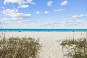 Une plage avec un ciel dégagé, un rivage sablonneux et une végétation clairsemée.