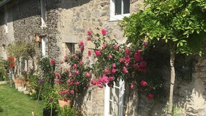 A stone building with a garden featuring potted plants and blooming flowers.
