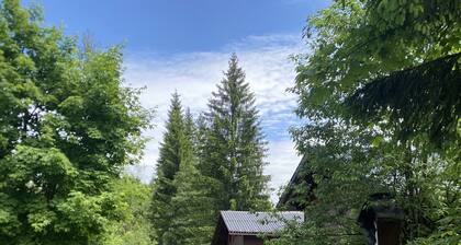 Grande maison de vacances à Schetteregg – Nature, tranquillité et vue panoramique pour toute la famille