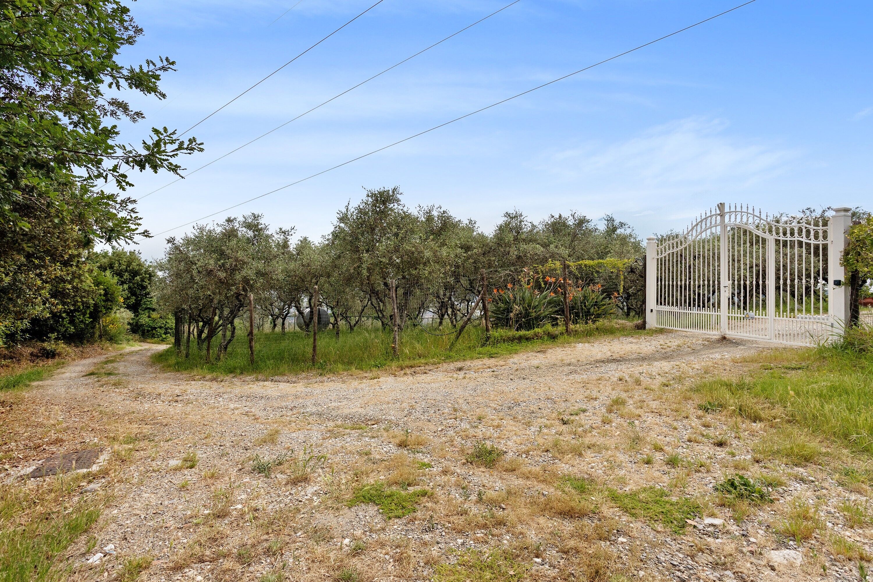 Un sendero de grava que conduce a una zona vallada con árboles y arbustos.