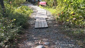 Ein Waldweg mit einem Holzsteg, der zu einer Bank und einem Briefkasten führt.