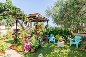 Un giardino con piante in vaso, un pergolato e due sedie blu.