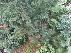 Property grounds - Lake 0 Central Lugano Family Apartment Lake View (7 guests) (LUGANO)