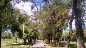 A pathway lined with trees and a clear sky. - Hotel Alta Mendoza (Mendoza)