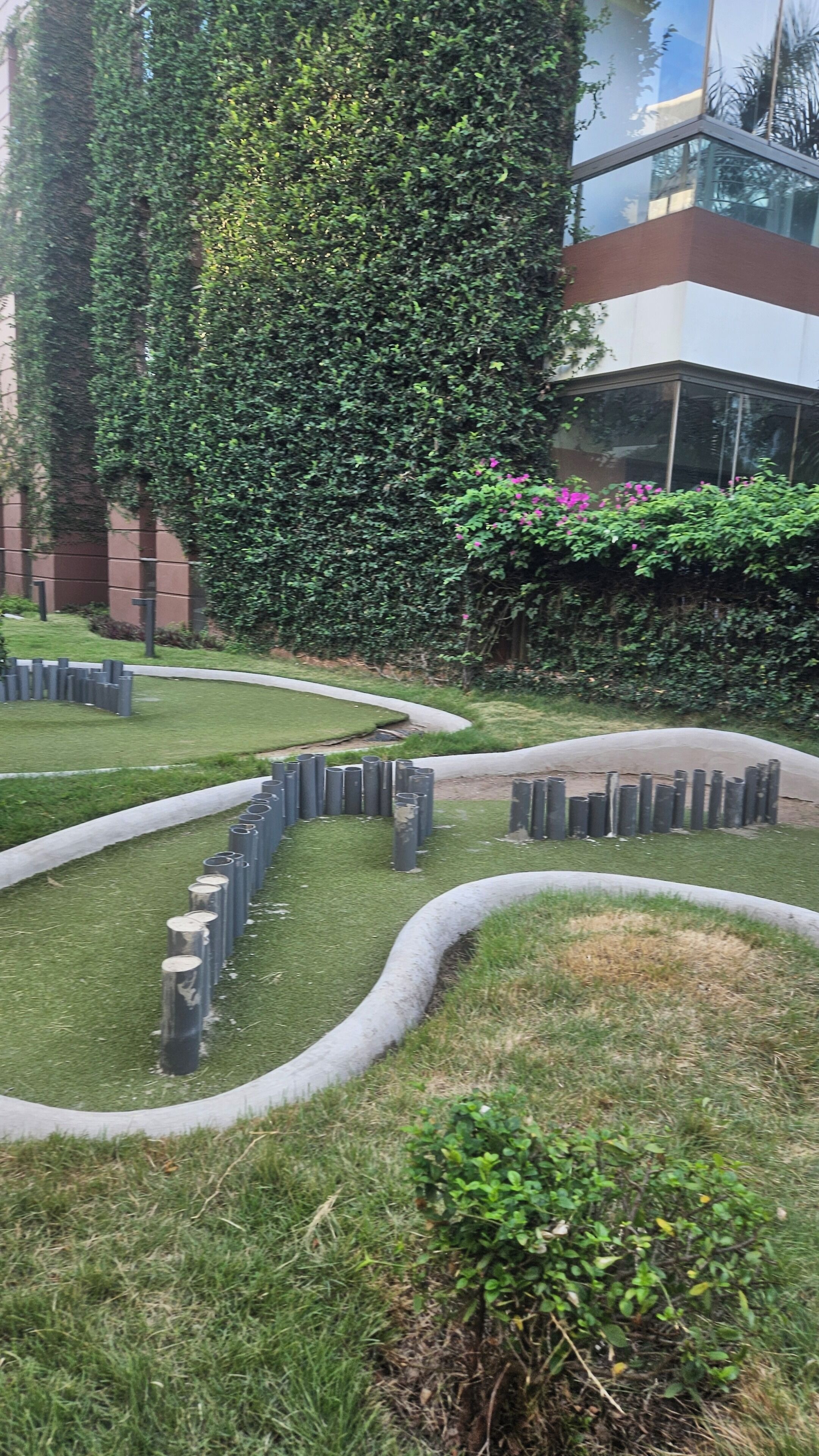 A landscaped garden with a curved pathway, a small bush, and a building with a glass facade in the background.
