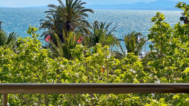 Une vue sur la côte, avec des palmiers et un ciel dégagé.