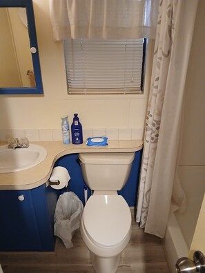 Secadora de cabello, toallas, papel de baño 