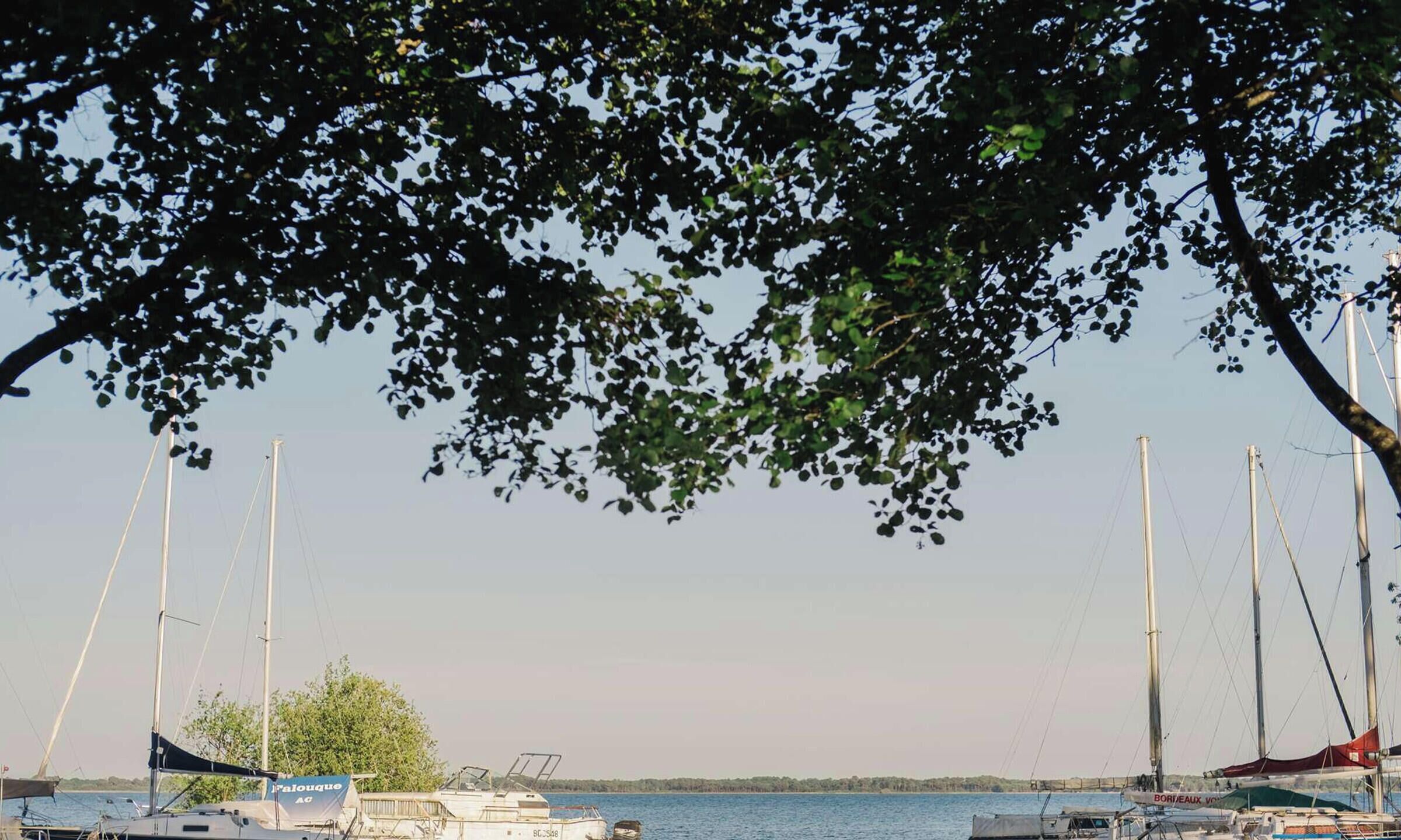 A marina with multiple sailboats docked, surrounded by trees and a calm body of water.