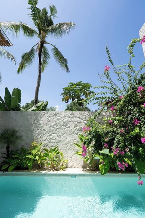 Pool - Ocean view 4 BR villa - 2 min walk to the beach (Seseh)