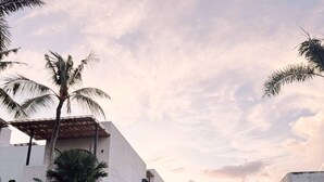 Um edifício moderno com paredes brancas e telhado plano, cercado por grama alta e palmeiras.