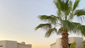 Un resort con area piscina, palme e vista sul mare.