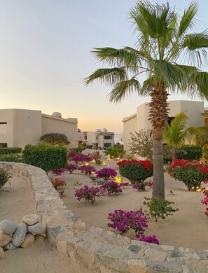 Ein Resort mit Poolbereich, Palmen und Blick auf das Meer.