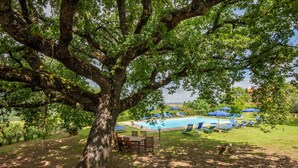 Un espace extérieur bordé d’arbres, avec une piscine, des chaises longues et une table.