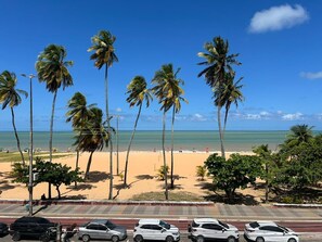 Ein Strand mit Palmen, blauem Himmel und Blick auf den Ozean.