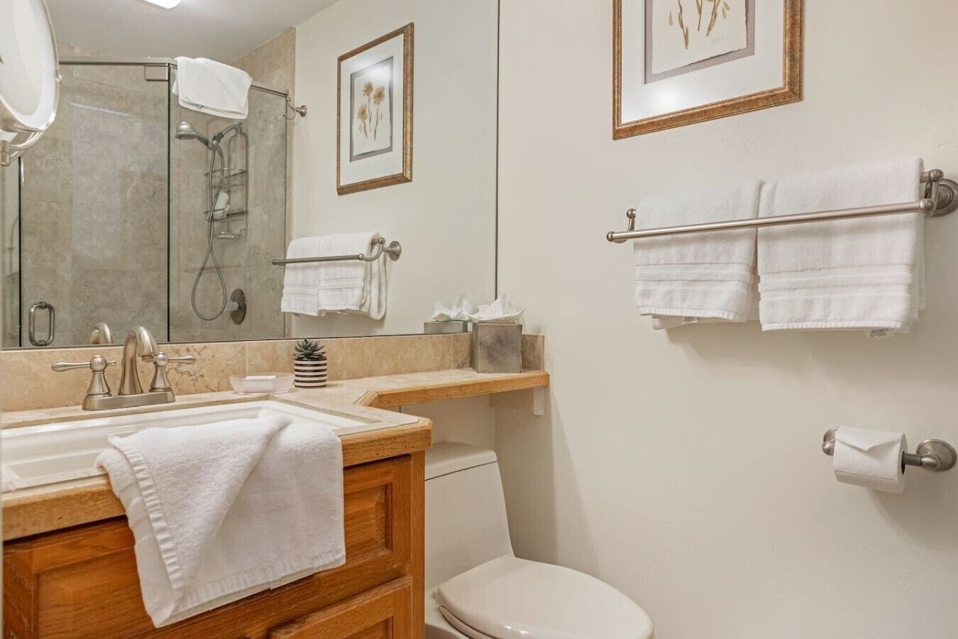 Hair dryer, towels