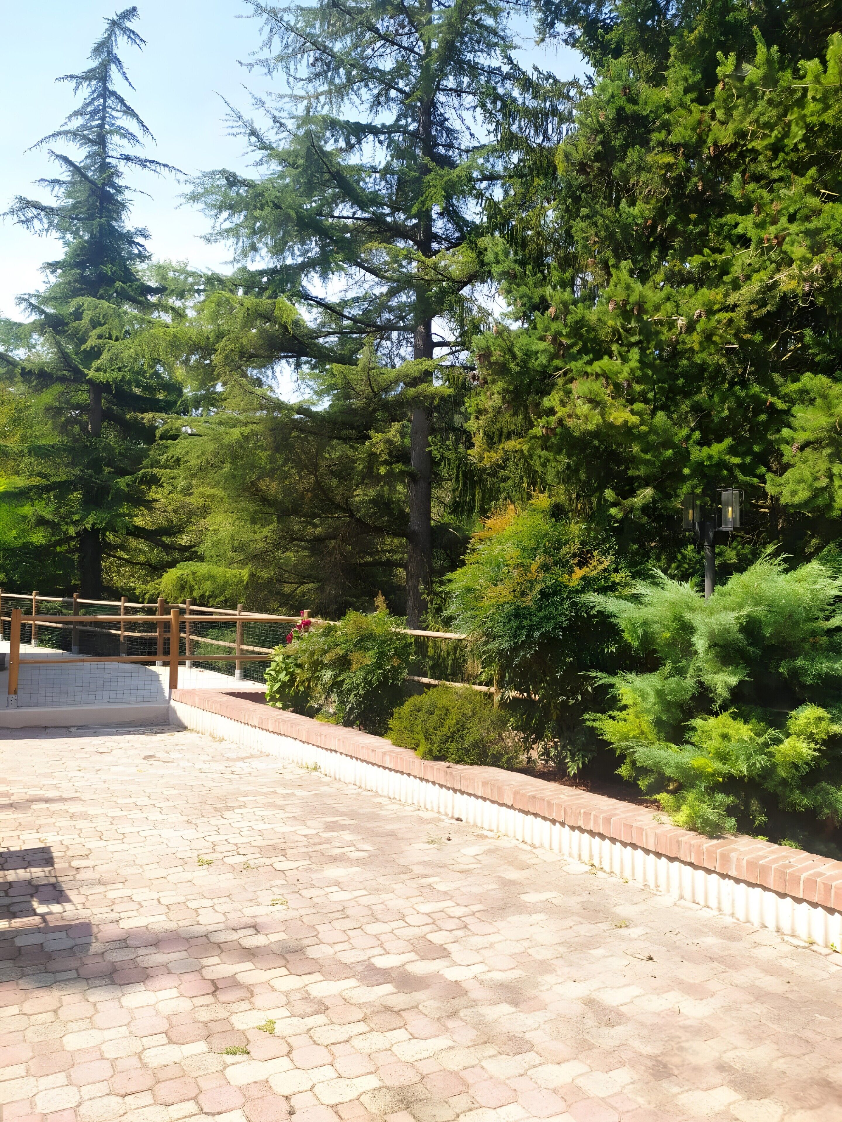 Jardines del alojamiento