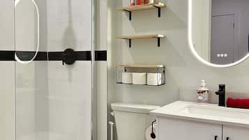 Douche, séchoir à cheveux, serviettes fournies, shampooing
