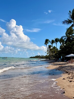 Ein Strand mit Palmen, sandigem Ufer und Booten im Wasser.