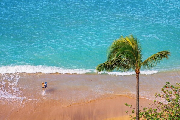 A beach with clear turquoise water, a palm tree, and a person in the distance. - Sands of Kahana 2 Oceanfront Villas, Sleeps 16 | Car Incl. w/ 6 nights | ML-4052 by KBM (Lahaina)