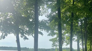 A wooden deck with a picnic table and chairs, overlooking a lake with boats. - Just Peachy! Enjoy your private lake front home. (West Branch)
