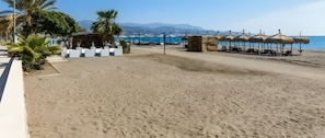 Ein Strand mit Liegestühlen, einer Palme und einem Gebäude mit Reetdach.
