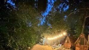 A pathway leading to treehouses with string lights, surrounded by dense foliage. - Hostalito Lahar (Bacalar)
