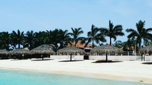 A beach with clear turquoise water, palm trees, and thatched umbrellas. - Sun-Filled Cozy House Near Beautiful Beach (Discovery Bay, St. Ann)