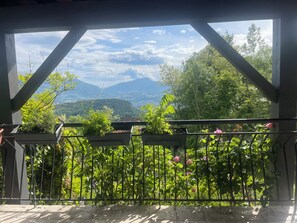 Property grounds - Family villa with panoramic view and garden on the heights of Chambéry (Verel-Pragondran)
