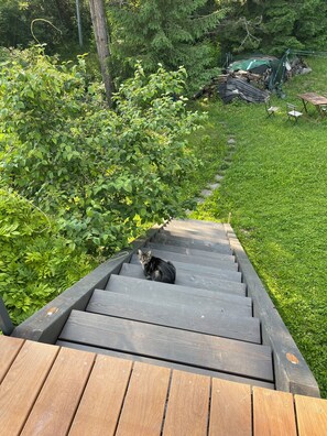 Terrace/patio - Family villa with panoramic view and garden on the heights of Chambéry (Verel-Pragondran)