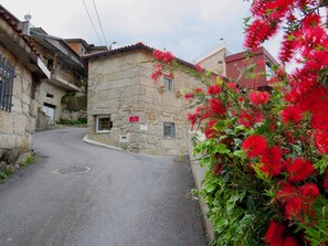 Property grounds - Casa do Suzana - Cozy villa in Gerês (Valdozende)