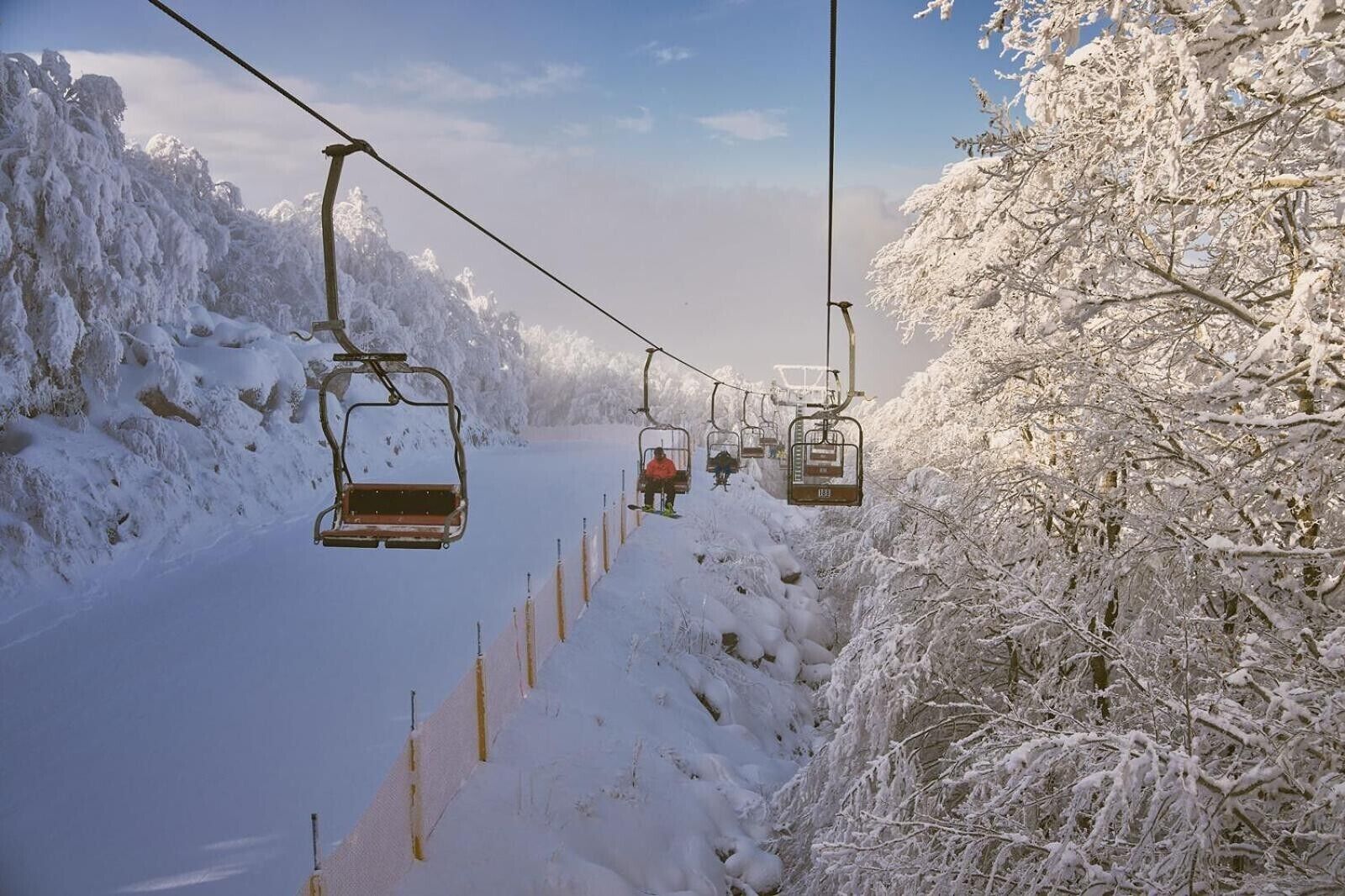Un telesilla cubierto de nieve con asientos colgando de cables, rodeado de árboles y un paisaje nevado.