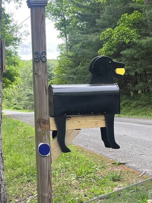 Une boîte aux lettres fixée sur un poteau en bois, portant le numéro « 36 ».