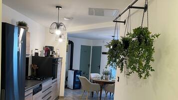 A modern kitchen with a refrigerator, stove, and hanging plants.
