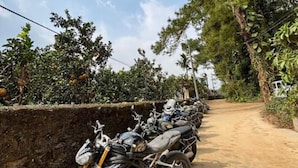 A row of motorcycles parked along a dirt path with trees and vegetation on either side.
