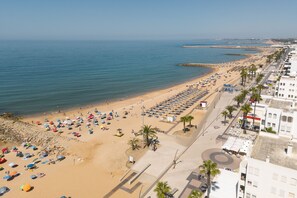 Una playa con hileras de sombrillas y sillas de playa, un paseo marítimo con palmeras y edificios a lo largo de la costa.