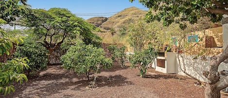 A garden with various trees and shrubs, a dirt ground, and a building with a white wall and a blue door.
