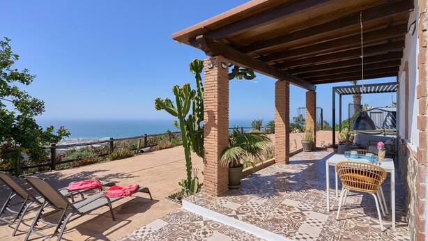 A patio with a view of the sea, a table with chairs, and a cactus plant.
