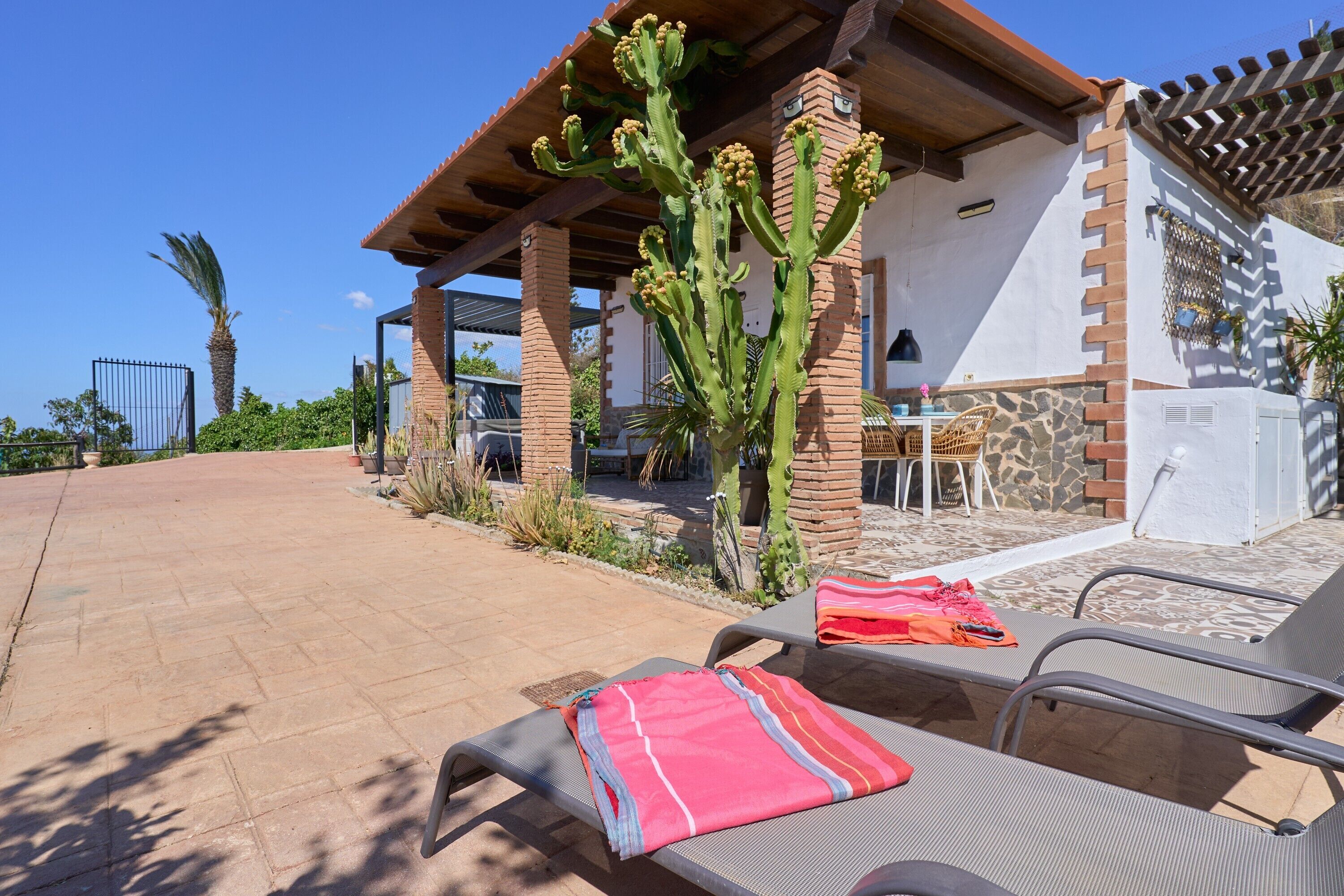A patio with lounge chairs, a cactus, and a covered seating area with a table and chairs.
