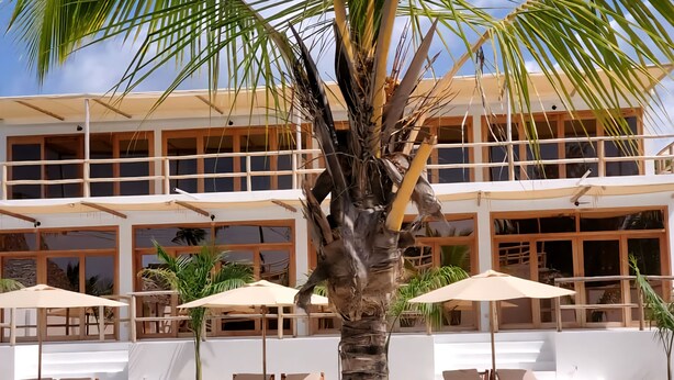 Zona de piscina con sillones de playa y sombrillas, una palmera, y un edificio con ventanas y balcones amplios.