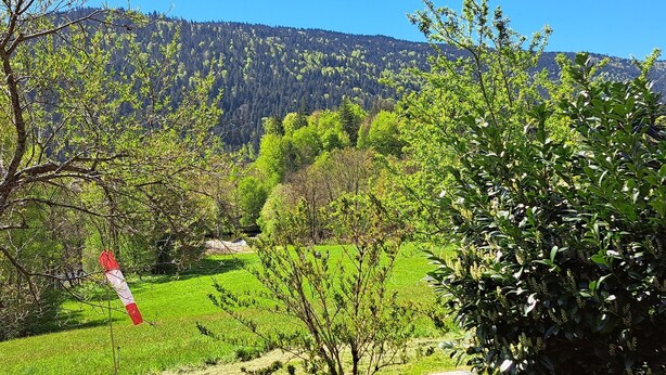 Ländliche Landschaft mit blauem Himmel, grünen Feldern und Bäumen.