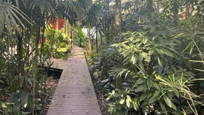 A wooden pathway surrounded by lush greenery and tall trees. - @Staycy | Casa com rio privativo em Camburi (Camburí)