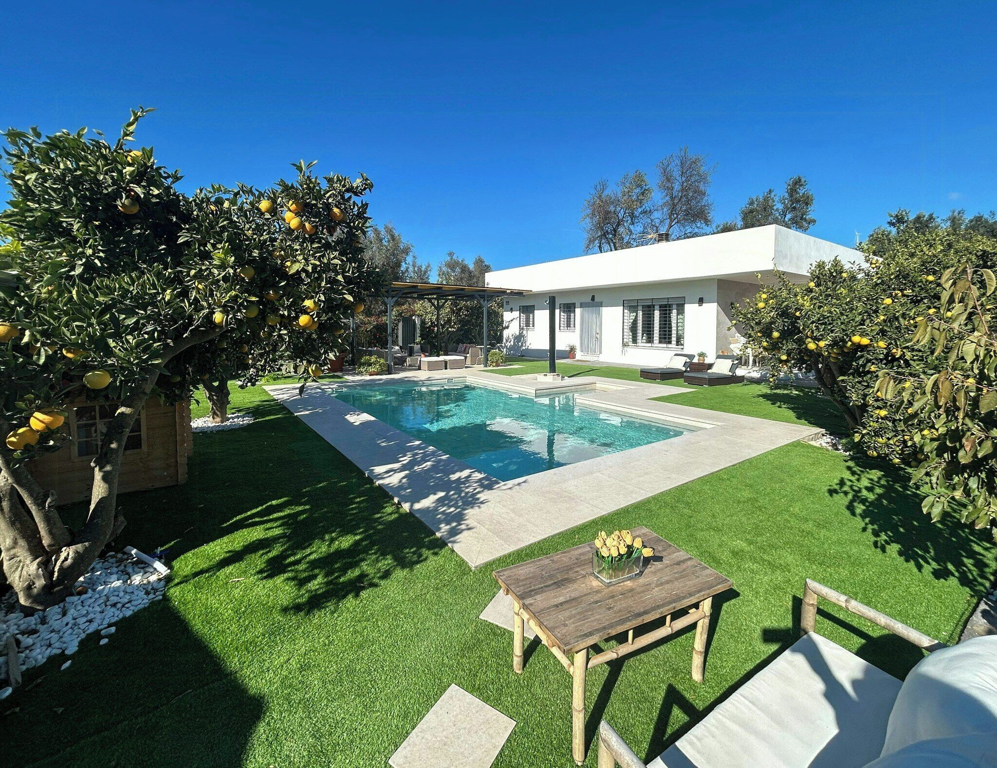A modern house with a swimming pool, a wooden deck, and a garden with lemon trees.