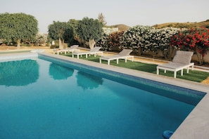 Pool - Costa Blanca villa with pool in Villajoyosa (La Vila Joiosa)