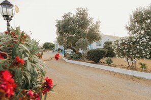 Property grounds - Costa Blanca villa with pool in Villajoyosa (La Vila Joiosa)