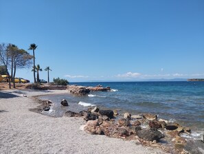 A beach with pebbles, rocks, and palm trees. - Athenian Riviera Suite ~Ano Voula (Athens)
